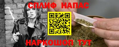 дмт Кингисепп