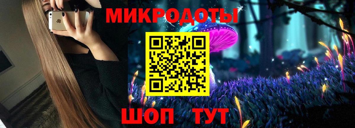 Галлюциногенные грибы Psilocybe Кинешма